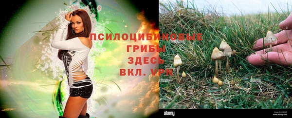 a pvp Абдулино