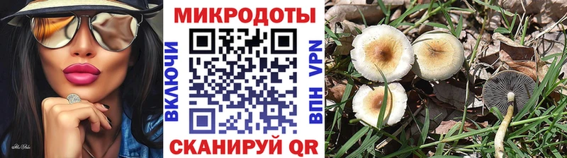Псилоцибиновые грибы Magic Shrooms  mega вход  Шали  что такое  