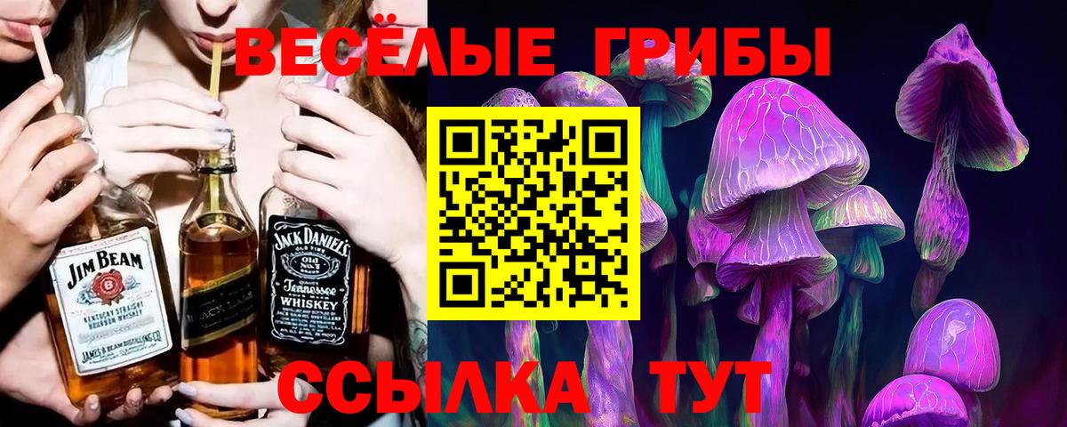 Псилоцибиновые грибы прущие грибы  Вход с VPN  наркота  Шали 