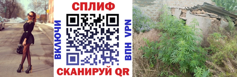 Каннабис MAZAR Шали